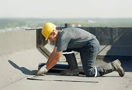 Best Skylight Installation and Repair  in Weeping Water, NE